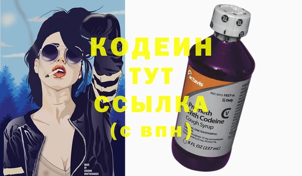 спиды Бородино