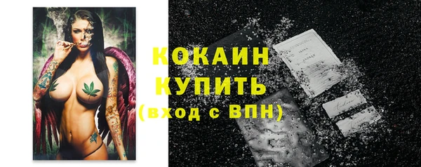 мдпв Бронницы