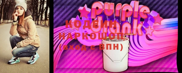 спиды Бородино