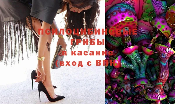 спиды Бородино
