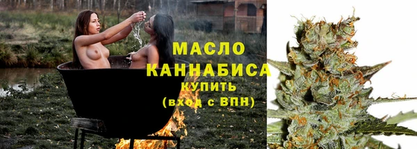 мдпв Бронницы