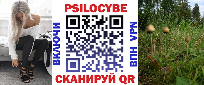 Галлюциногенные грибы Psilocybe  kraken рабочий сайт  Оса 